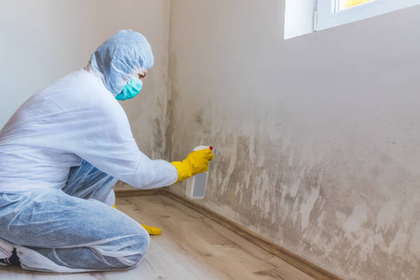 Licensed Commercial Mold Remediation service in Victoria, VA - WQB Mold Removal