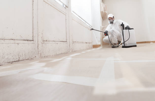 24/7 Emergency Commercial Mold Remediation experts in Victoria, VA