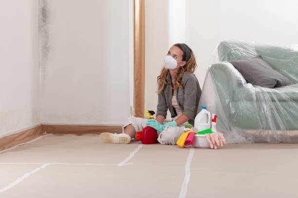 Reliable Commercial Mold Remediation contractor in Victoria, VA by WQB Mold Removal
